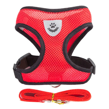 Adjustable Cat Harness Set