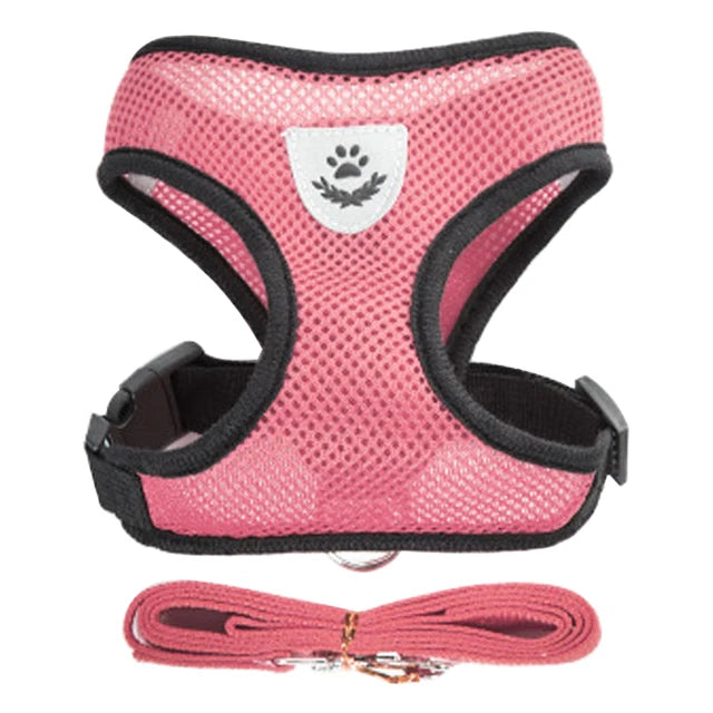 Adjustable Cat Harness Set