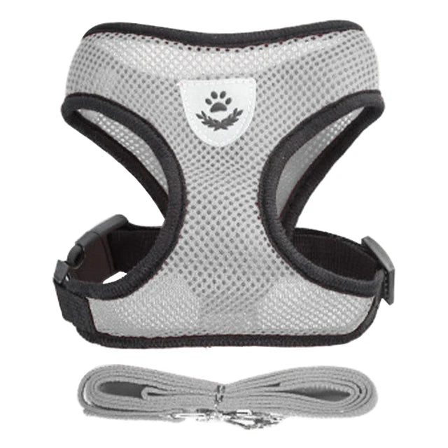 Adjustable Cat Harness Set